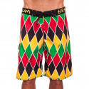 Badetøj til mænd 69SLAM Long Boardshort Harlequin