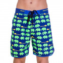 Badetøj til mænd 69SLAM Short Boardshort Medium Elephant Green