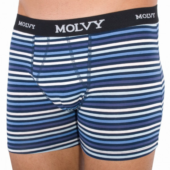 2PACK Boxershorts til mænd Molvy flerfarvet (KP-044-BEU)