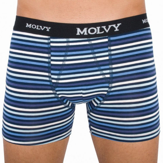 2PACK Boxershorts til mænd Molvy flerfarvet (KP-044-BEU)