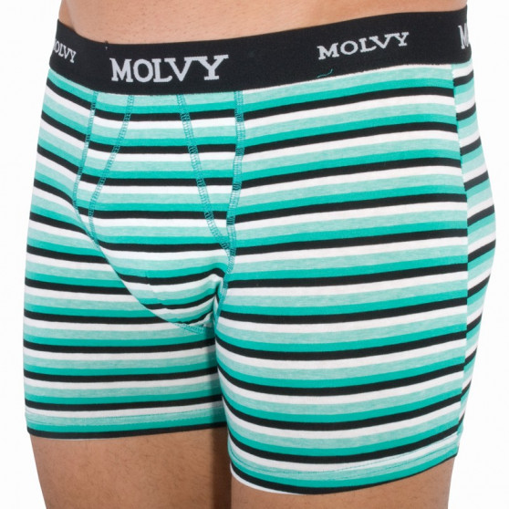 2PACK Boxershorts til mænd Molvy flerfarvet (KP-044-BEU)