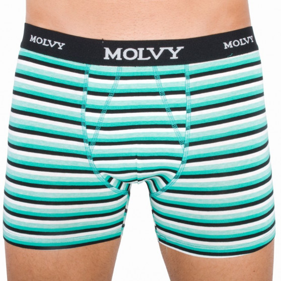 2PACK Boxershorts til mænd Molvy flerfarvet (KP-044-BEU)