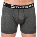 Boxershorts til mænd Horsefeathers Dynasty lyng antracit (AA540D)