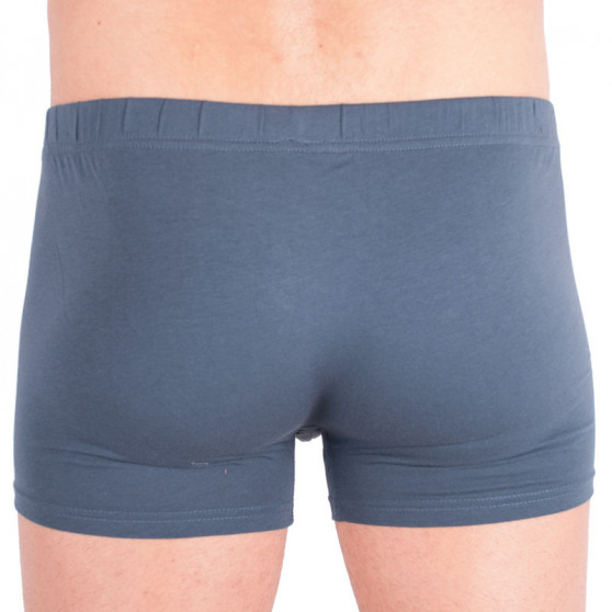 2PACK Boxershorts til mænd S.Oliver grå (26.899.97.2937.9581)