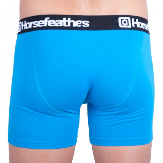 Boxershorts til mænd Horsefeathers Dynasty blå (AA540F)