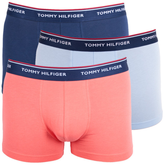 3PACK Boxershorts til mænd Tommy Hilfiger flerfarvet (1U87903842 424)