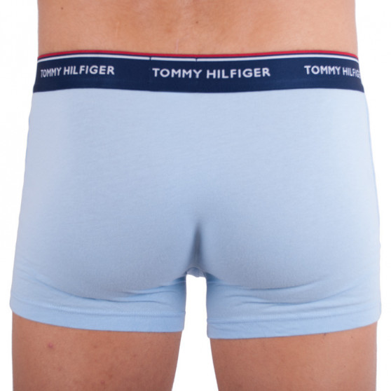 3PACK Boxershorts til mænd Tommy Hilfiger flerfarvet (1U87903842 424)