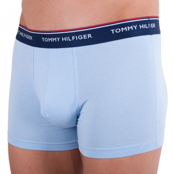 3PACK Boxershorts til mænd Tommy Hilfiger flerfarvet (1U87903842 424)