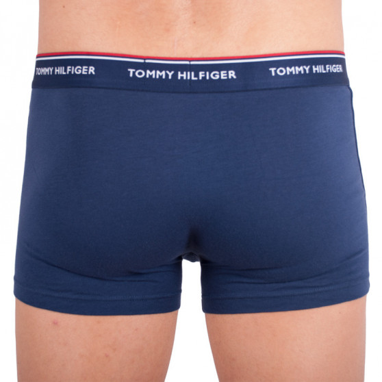 3PACK Boxershorts til mænd Tommy Hilfiger flerfarvet (1U87903842 424)