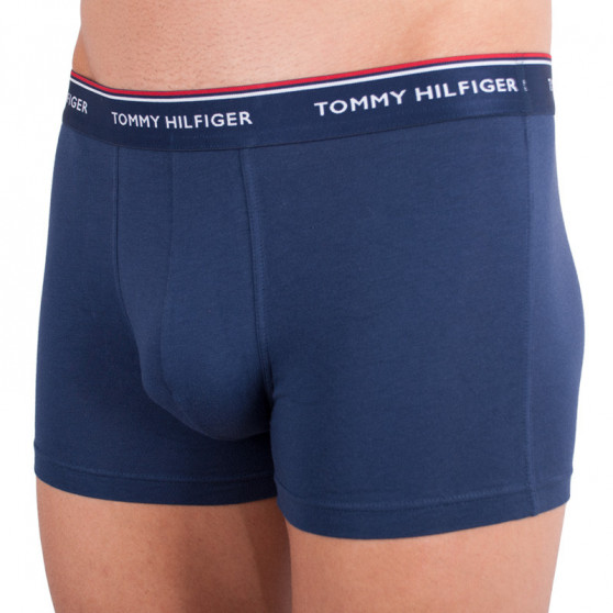 3PACK Boxershorts til mænd Tommy Hilfiger flerfarvet (1U87903842 424)