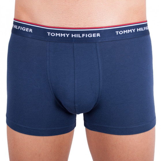 3PACK Boxershorts til mænd Tommy Hilfiger flerfarvet (1U87903842 424)