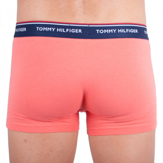 3PACK Boxershorts til mænd Tommy Hilfiger flerfarvet (1U87903842 424)