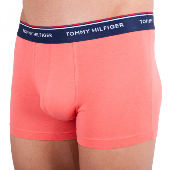 3PACK Boxershorts til mænd Tommy Hilfiger flerfarvet (1U87903842 424)