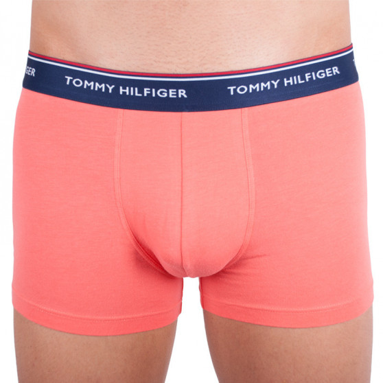 3PACK Boxershorts til mænd Tommy Hilfiger flerfarvet (1U87903842 424)