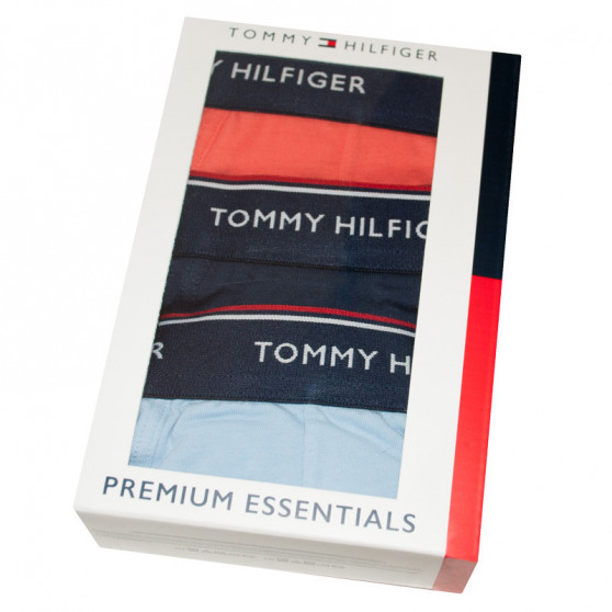 3PACK Boxershorts til mænd Tommy Hilfiger flerfarvet (1U87903842 424)