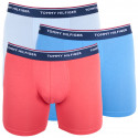 3PACK Boxershorts til mænd Tommy Hilfiger flerfarvet (UM0UM00010 639)