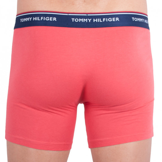 3PACK Boxershorts til mænd Tommy Hilfiger flerfarvet (UM0UM00010 639)