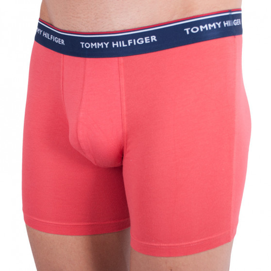 3PACK Boxershorts til mænd Tommy Hilfiger flerfarvet (UM0UM00010 639)