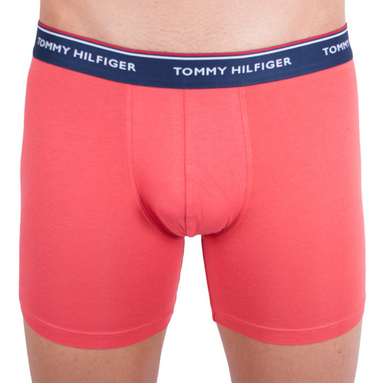 3PACK Boxershorts til mænd Tommy Hilfiger flerfarvet (UM0UM00010 639)