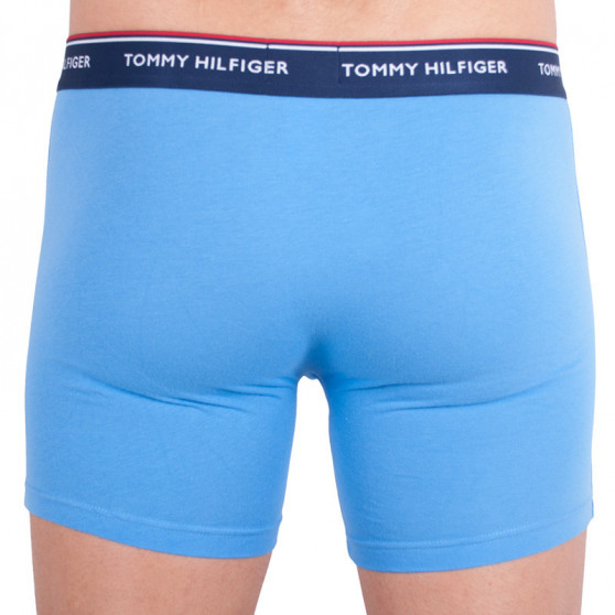 3PACK Boxershorts til mænd Tommy Hilfiger flerfarvet (UM0UM00010 639)