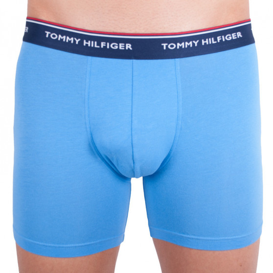 3PACK Boxershorts til mænd Tommy Hilfiger flerfarvet (UM0UM00010 639)