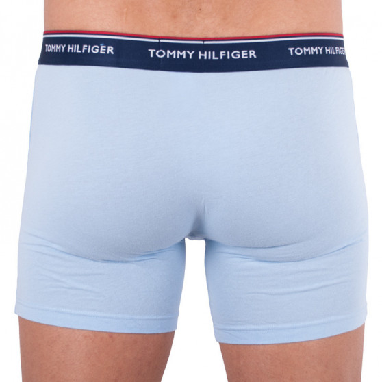 3PACK Boxershorts til mænd Tommy Hilfiger flerfarvet (UM0UM00010 639)