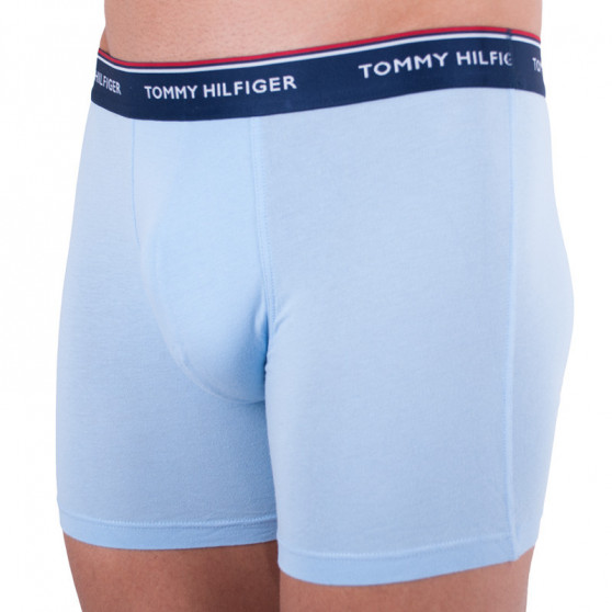 3PACK Boxershorts til mænd Tommy Hilfiger flerfarvet (UM0UM00010 639)