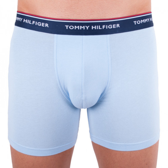 3PACK Boxershorts til mænd Tommy Hilfiger flerfarvet (UM0UM00010 639)