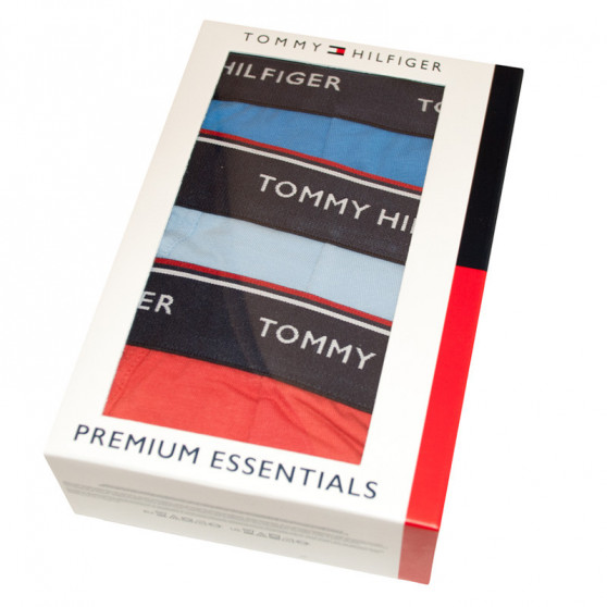 3PACK Boxershorts til mænd Tommy Hilfiger flerfarvet (UM0UM00010 639)