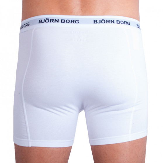 3PACK Boxershorts til mænd Bjorn Borg flerfarvet (9999-1024-70101)