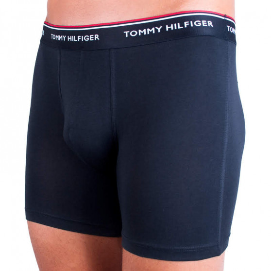 3PACK Boxershorts til mænd Tommy Hilfiger flerfarvet (UM0UM00010 004)