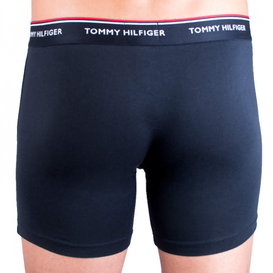 3PACK Boxershorts til mænd Tommy Hilfiger flerfarvet (UM0UM00010 004)