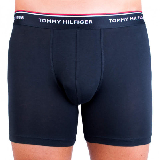 3PACK Boxershorts til mænd Tommy Hilfiger flerfarvet (UM0UM00010 004)