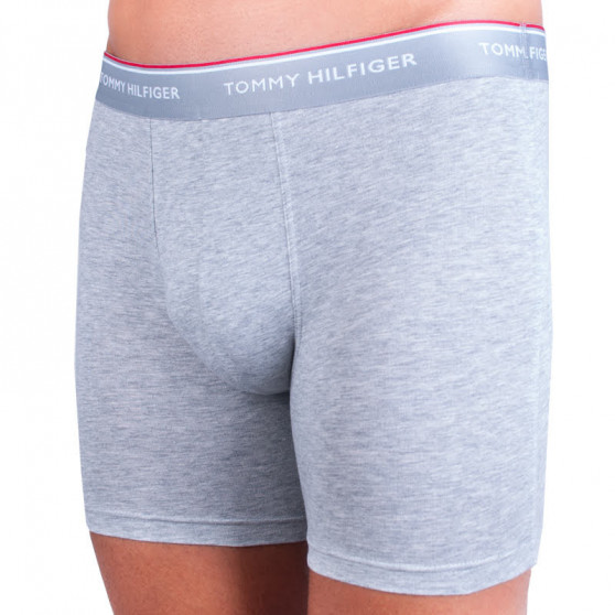 3PACK Boxershorts til mænd Tommy Hilfiger flerfarvet (UM0UM00010 004)