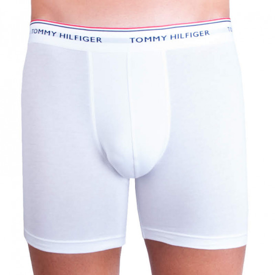 3PACK Boxershorts til mænd Tommy Hilfiger flerfarvet (UM0UM00010 004)