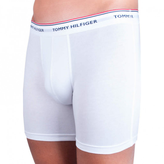 3PACK Boxershorts til mænd Tommy Hilfiger flerfarvet (UM0UM00010 004)