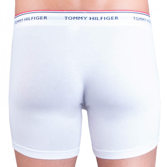 3PACK Boxershorts til mænd Tommy Hilfiger flerfarvet (UM0UM00010 004)