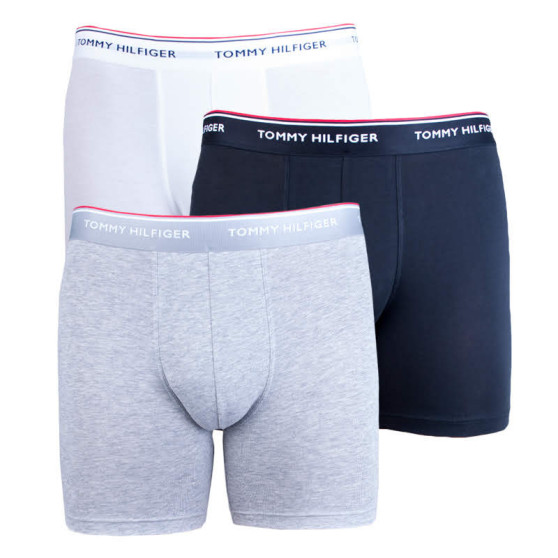 3PACK Boxershorts til mænd Tommy Hilfiger flerfarvet (UM0UM00010 004)