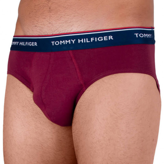 3PACK Trusser til mænd Tommy Hilfiger flerfarvet (1U87903766 096)