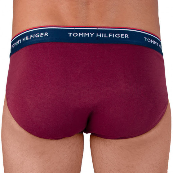 3PACK Trusser til mænd Tommy Hilfiger flerfarvet (1U87903766 096)