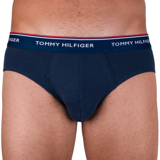 3PACK Trusser til mænd Tommy Hilfiger flerfarvet (1U87903766 096)