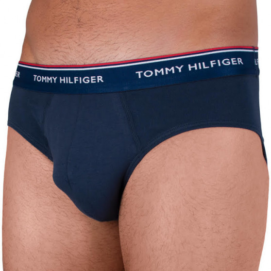 3PACK Trusser til mænd Tommy Hilfiger flerfarvet (1U87903766 096)