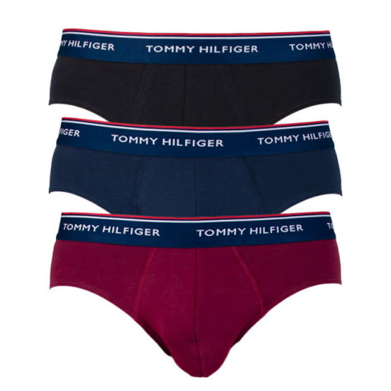 3PACK Trusser til mænd Tommy Hilfiger flerfarvet (1U87903766 096)