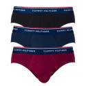 3PACK Trusser til mænd Tommy Hilfiger flerfarvet (1U87903766 096)