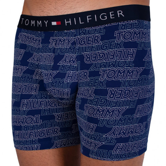 2PACK Boxershorts til mænd Tommy Hilfiger flerfarvet (UM0UM00940 066)