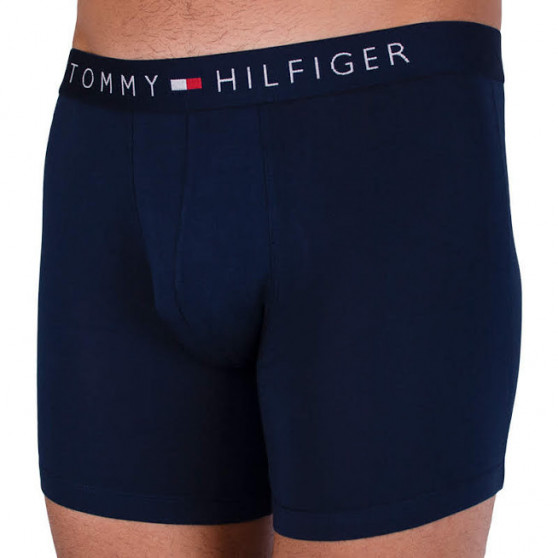 2PACK Boxershorts til mænd Tommy Hilfiger flerfarvet (UM0UM00940 066)