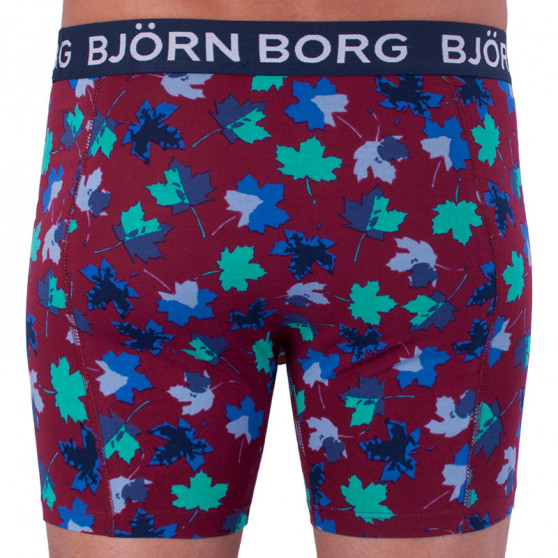 2PACK Boxershorts til mænd Bjorn Borg flerfarvet (1841-1204-40501)