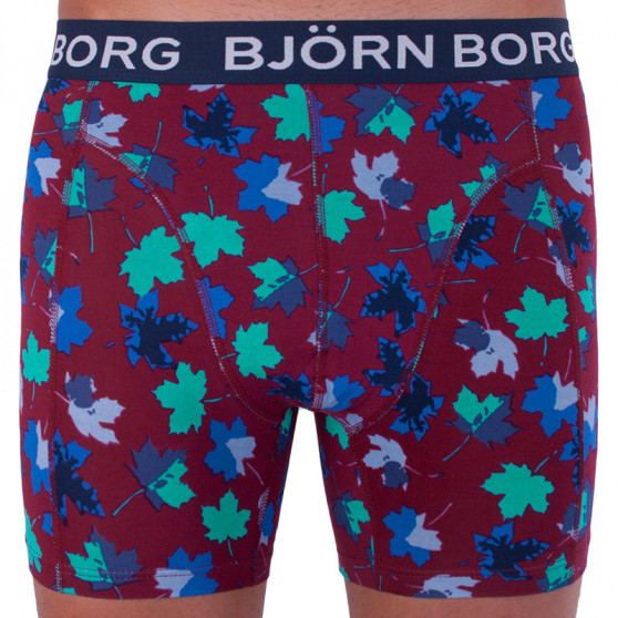 2PACK Boxershorts til mænd Bjorn Borg flerfarvet (1841-1204-40501)