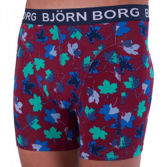 2PACK Boxershorts til mænd Bjorn Borg flerfarvet (1841-1204-40501)