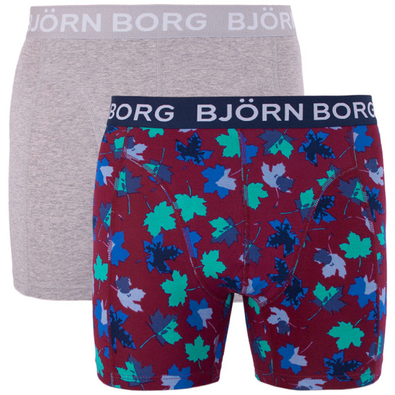 2PACK Boxershorts til mænd Bjorn Borg flerfarvet (1841-1204-40501)